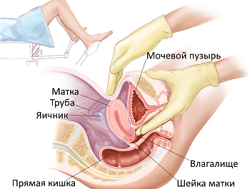 Диагностика акушер-гинекологом при беременности